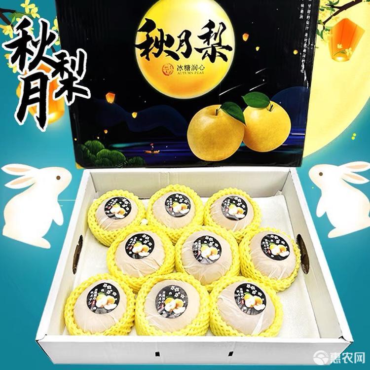 秋月梨采购指南:从品种识别到到货验收的完整思路|丰达果蔬